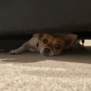 美女裸体被操在线观看
