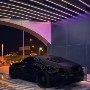 美女裸体被操在线观看
