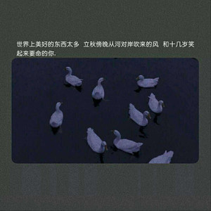 美女裸体被操在线观看
